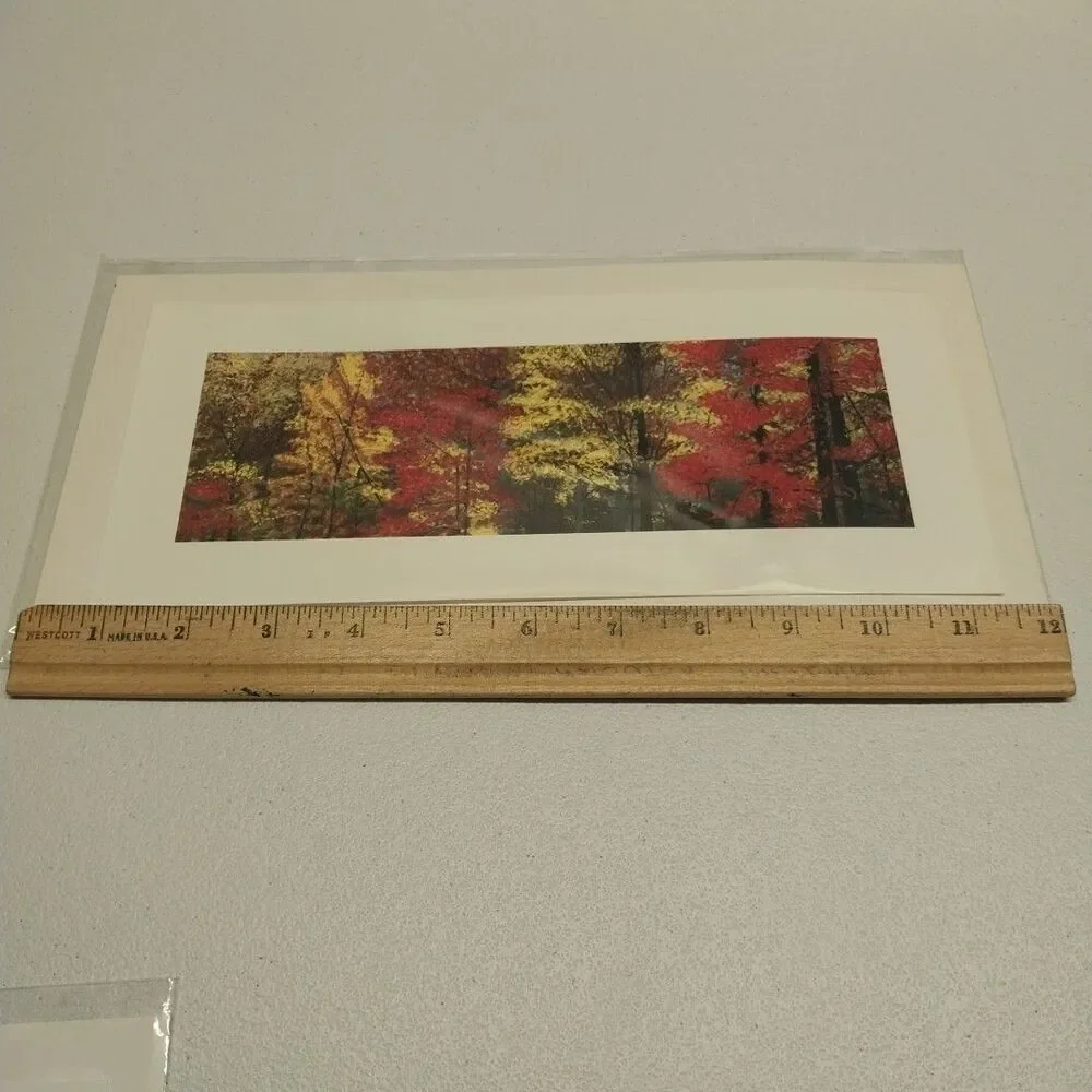 George Burr Autumn Trees Print 12x6 Panoramic Fall Landscape Matted